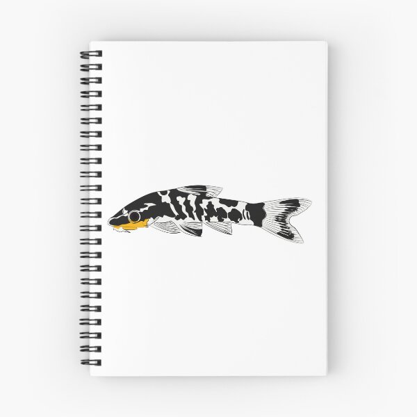 Item preview, zebra oto, tiger oto tropical freshwater catfish. Otocinclus cocama freshwater ornamental fish graphic illustrations aquarium catfish designed and sold by Marcin Adrian.