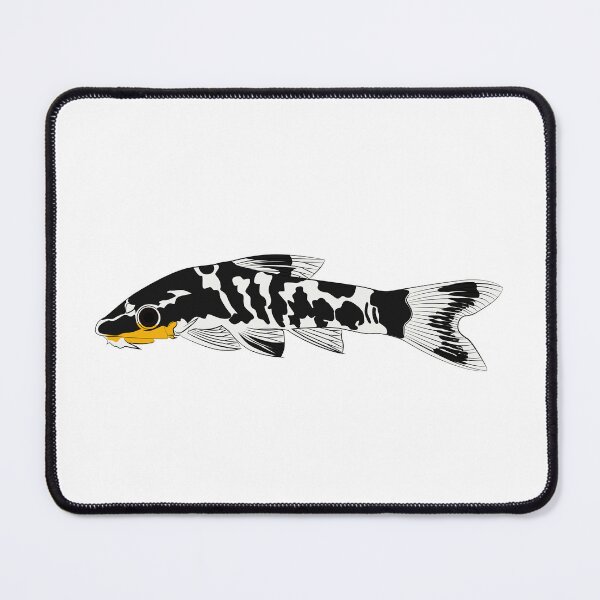 Item preview, zebra oto, tiger oto tropical freshwater catfish. Otocinclus cocama freshwater ornamental fish graphic illustrations aquarium catfish designed and sold by Marcin Adrian.