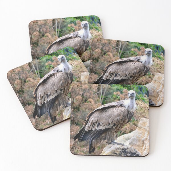 Item preview, Griffon the Vulture designed and sold by debralore.