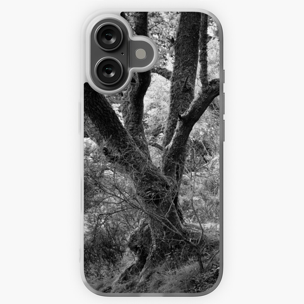 Item preview, iPhone Soft Case designed and sold by ShinyPhoto.