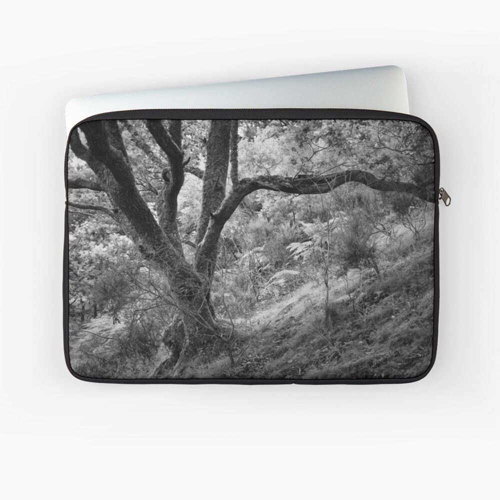 Item preview, Laptop Sleeve designed and sold by ShinyPhoto.