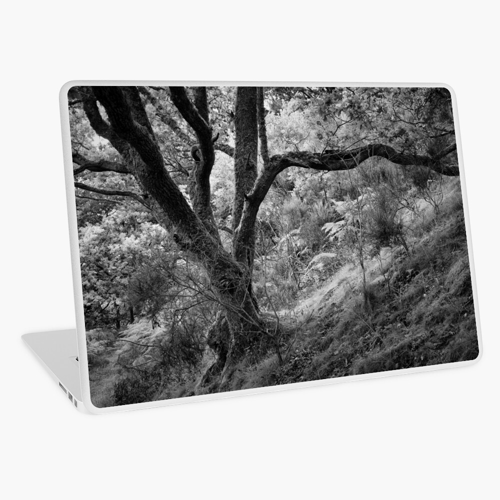 Item preview, Laptop Skin designed and sold by ShinyPhoto.