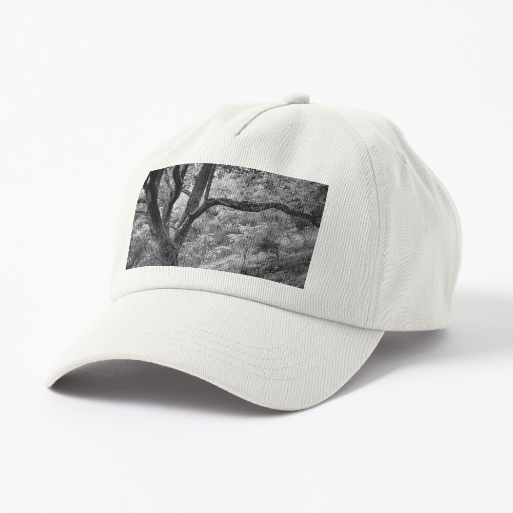 Item preview, Dad Hat designed and sold by ShinyPhoto.