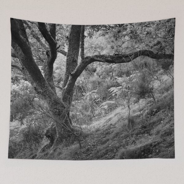 Item preview, Dunning Glen 7: Characterful Trees 3 designed and sold by ShinyPhoto.