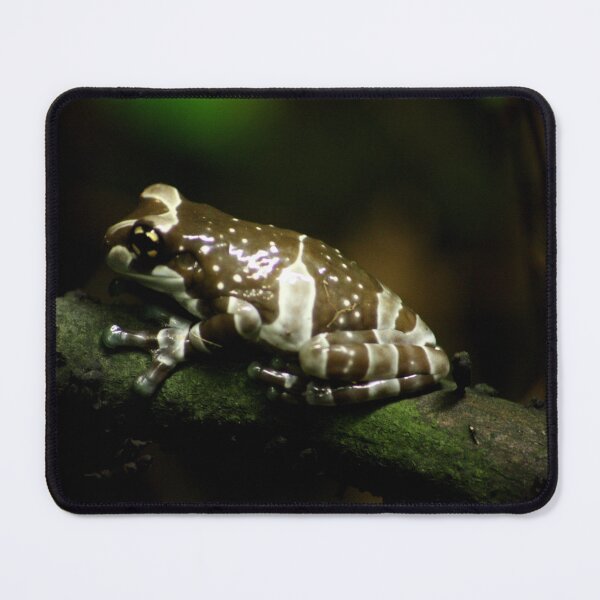 Item preview, Amazon Milk Frog designed and sold by James Bull.