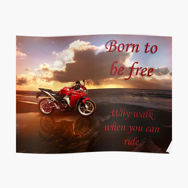 Born to be Free Poster