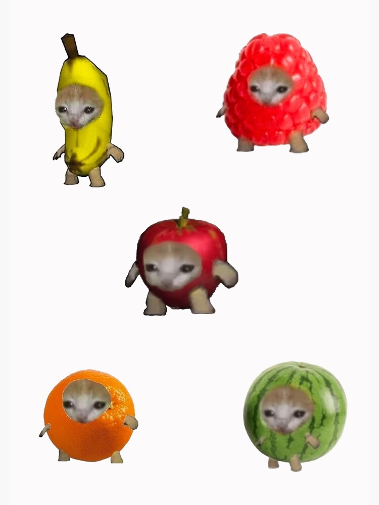 "fruit cats sticker pack" Poster for Sale by Alexis m Redbubble