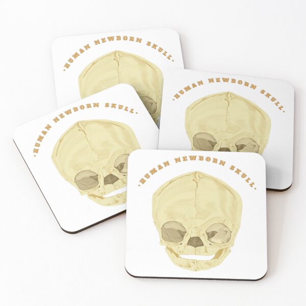 Item preview, human newborn skull - Anatomical Art designed and sold by Carola-art.