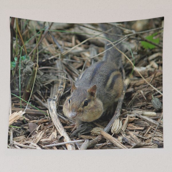 Item preview, Chipmunk Cheeks designed and sold by Strawflower Oasis.