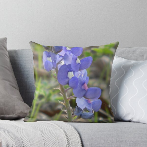 Item preview, WHO Did This? WHERE Are You? designed and sold by Navigator.