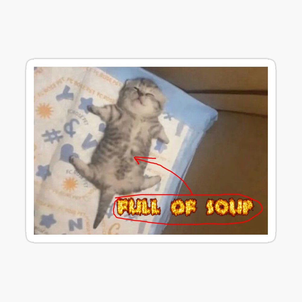 full of soup kitty