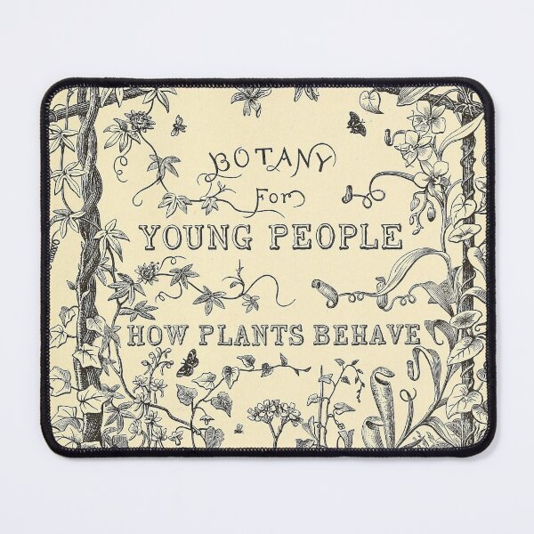 Item preview, Botany for Young People. 1872 Antique Book Cover Art designed and sold by killies.