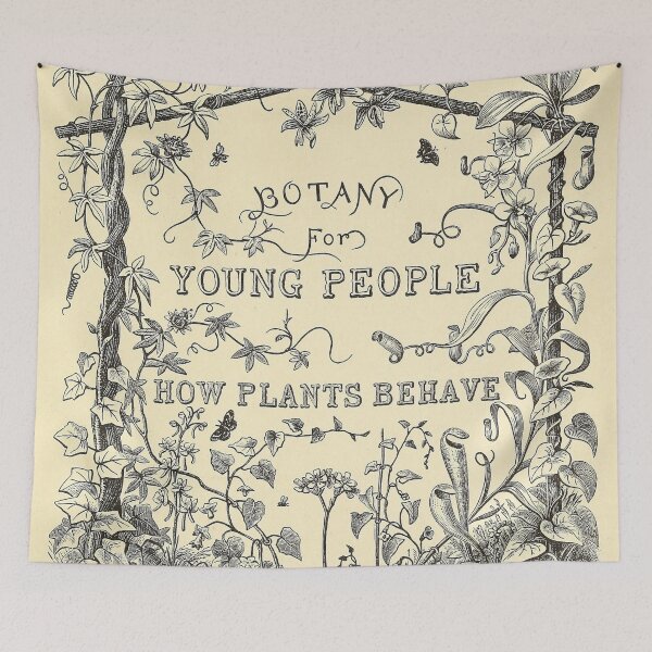 Item preview, Botany for Young People. 1872 Antique Book Cover Art designed and sold by killies.