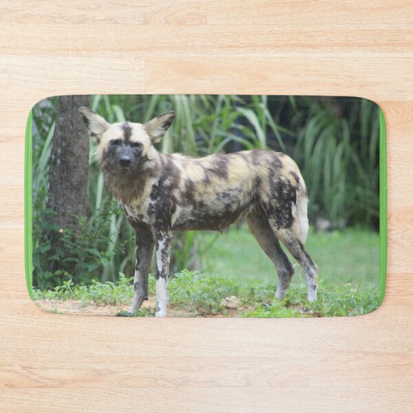 Item preview, Painted Dog designed and sold by Evelynsphoto.