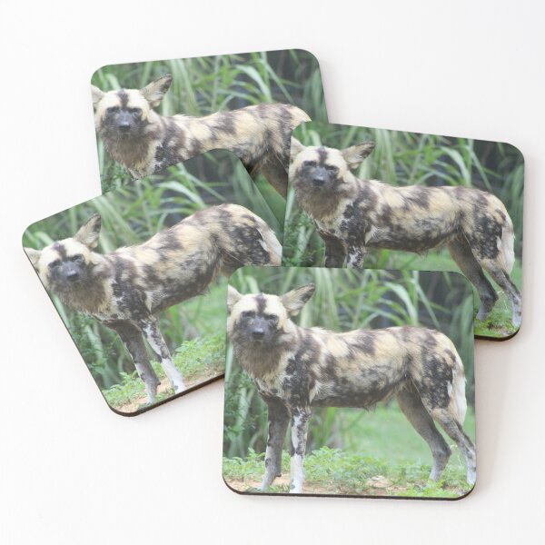 Item preview, Painted Dog designed and sold by Evelynsphoto.