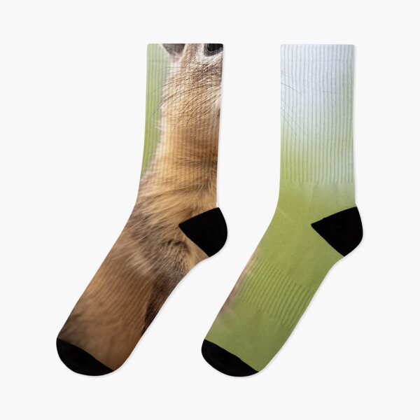 Item preview, Hyrax designed and sold by DigitizedArt.