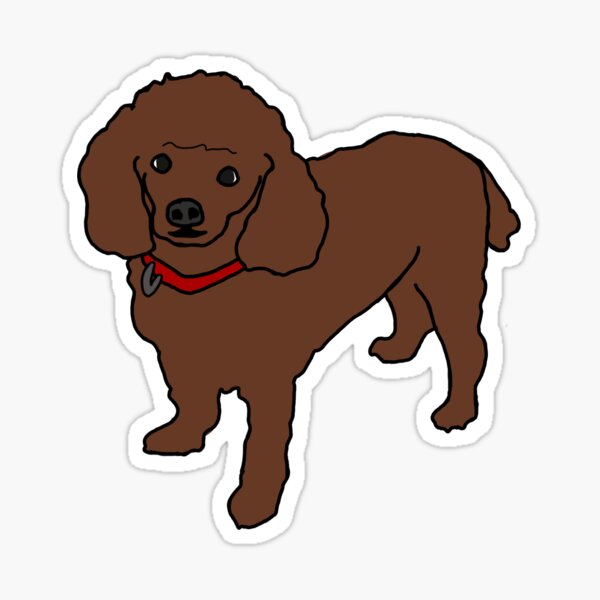 Apricot Poodle Sticker, Laptop Sticker, Red Poodle Sticker