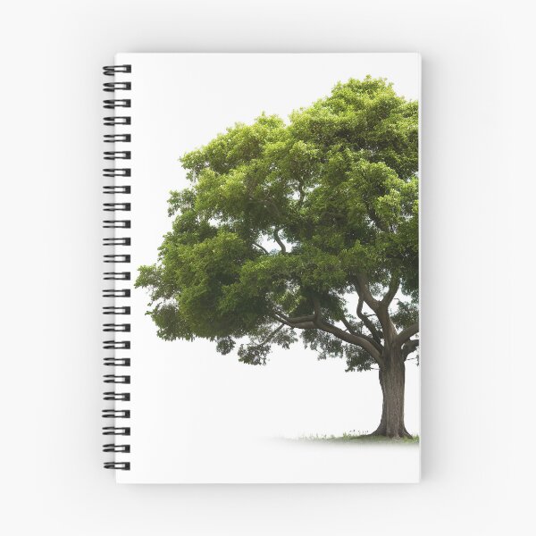 Item preview, Coniferous Tree designed and sold by Aestheticlanart.