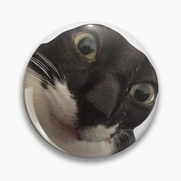 Item preview, Meme cat designed and sold by Pokemonmini.