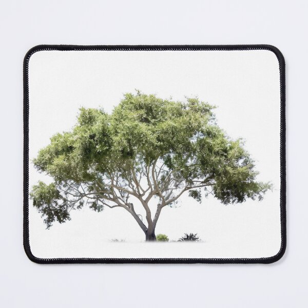 Item preview, Coniferous Tree Forest designed and sold by Aestheticlanart.