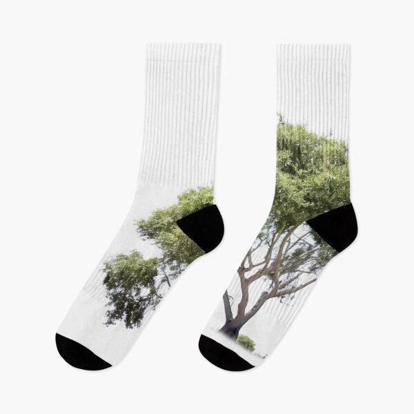 Item preview, Coniferous Tree Forest designed and sold by Aestheticlanart.