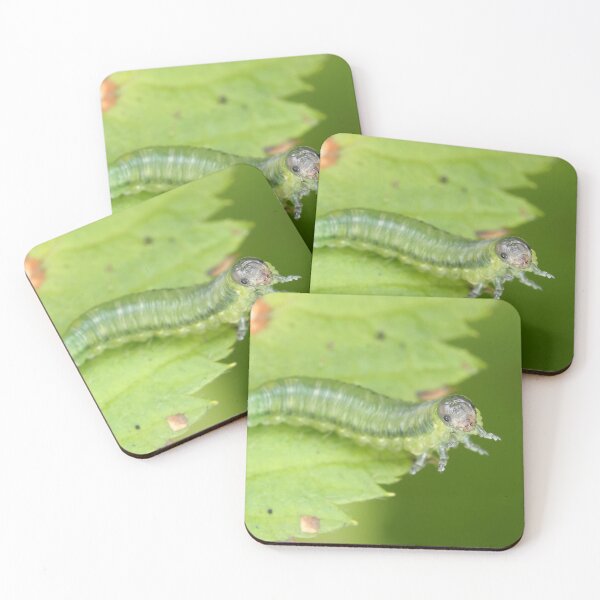Item preview, Sawfly larva, possibly Cimbicidae designed and sold by SDym Photography.