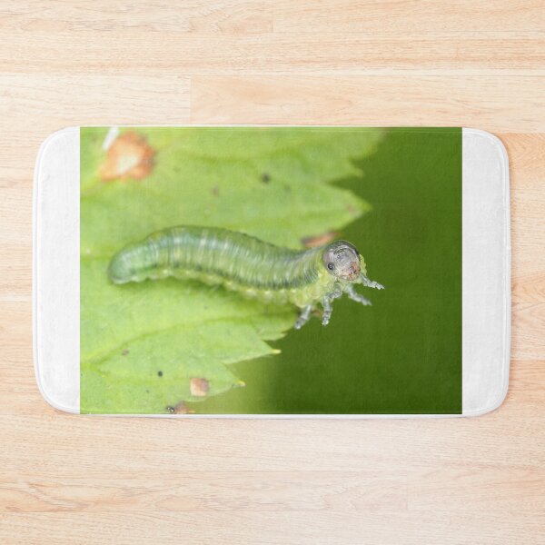 Item preview, Sawfly larva, possibly Cimbicidae designed and sold by SDym Photography.