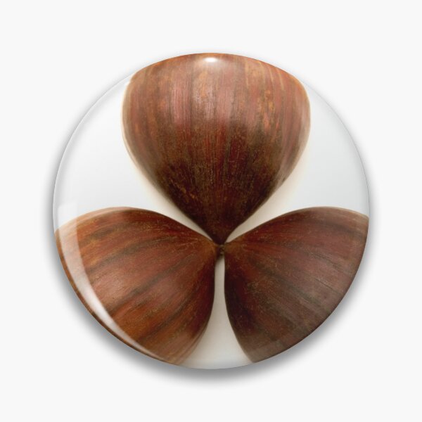 Item preview, Sweet chestnuts fruits designed and sold by troianifabrizio.