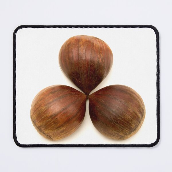 Item preview, Sweet chestnuts fruits designed and sold by troianifabrizio.