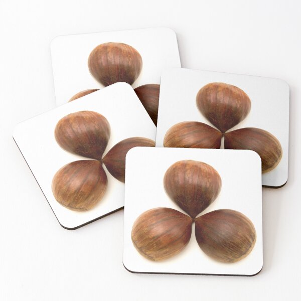 Item preview, Sweet chestnuts fruits designed and sold by troianifabrizio.