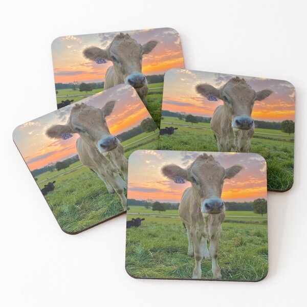 Item preview, Brown Swiss Cow at Shelburne Farms at Sunrise designed and sold by archiesvt.