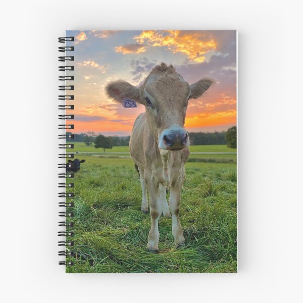 Item preview, Brown Swiss Cow at Shelburne Farms at Sunrise designed and sold by archiesvt.