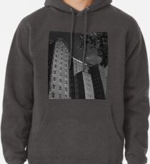 Sudadera con capucha Centro Psiquiátrico Kings Park