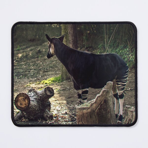 Item preview, Okapi at Twilight designed and sold by heatherfriedman.