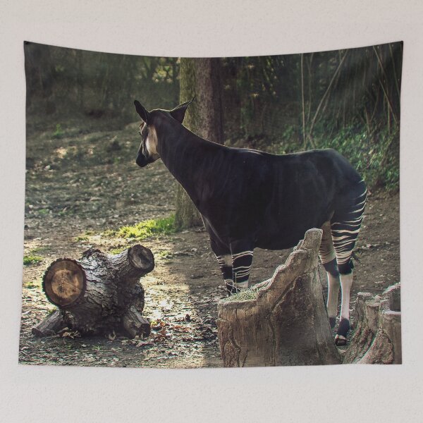 Item preview, Okapi at Twilight designed and sold by heatherfriedman.