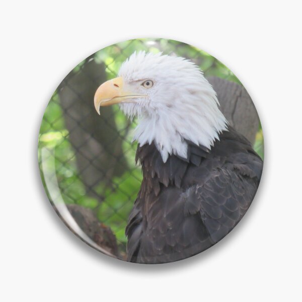 Item preview, bald eagle  designed and sold by Starlee12.