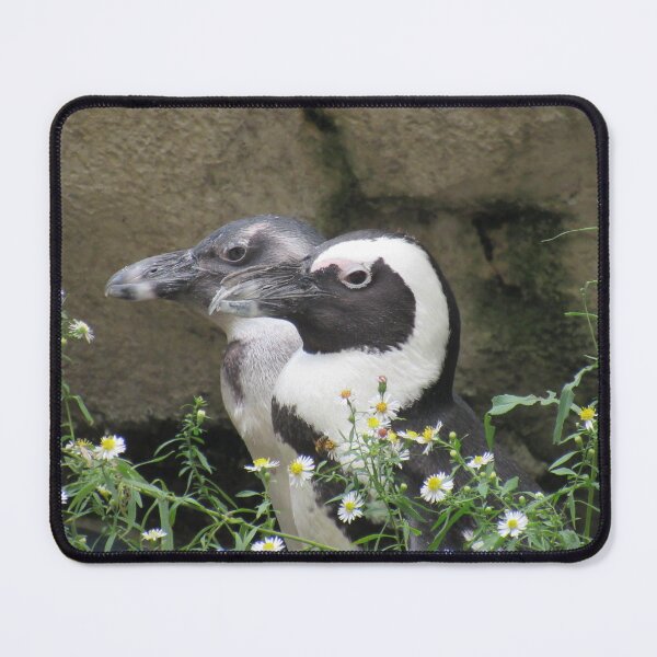 Item preview, penguin lovebirds designed and sold by Starlee12.