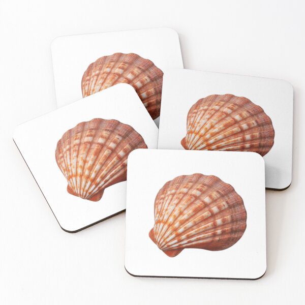 Item preview, concha designed and sold by Silly Stickers Etc..