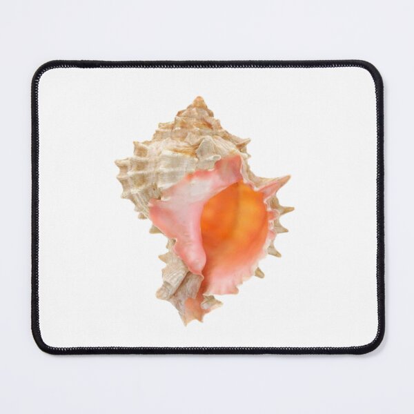 Item preview, seashell designed and sold by Silly Stickers Etc..