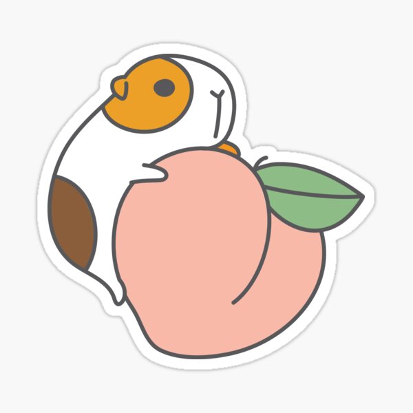 Guinea pigs with fruits pattern Sticker