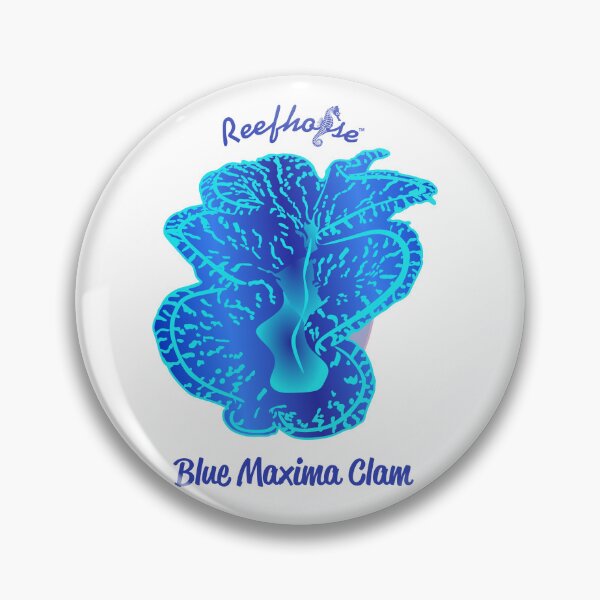 Item preview, Blue Maxima Clam designed and sold by KaplanCrypto.