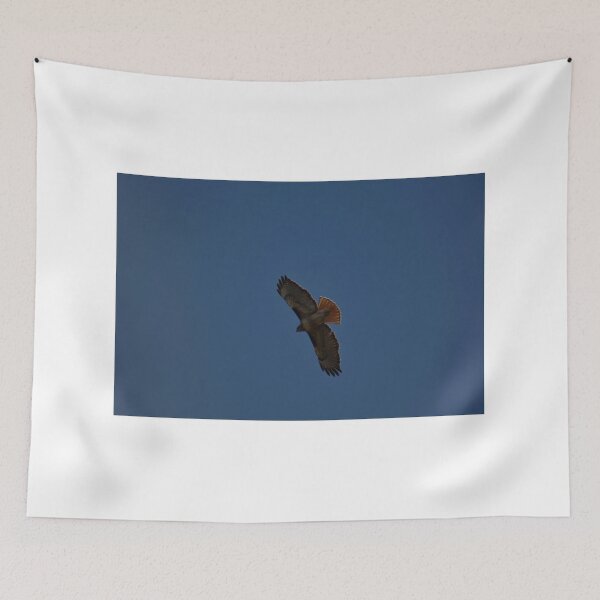 Item preview, Red Tail designed and sold by ryanmsorel.