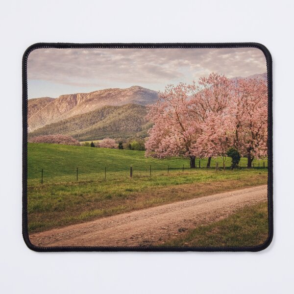 Item preview, Porepunkah Gully in Spring designed and sold by brightmystic.