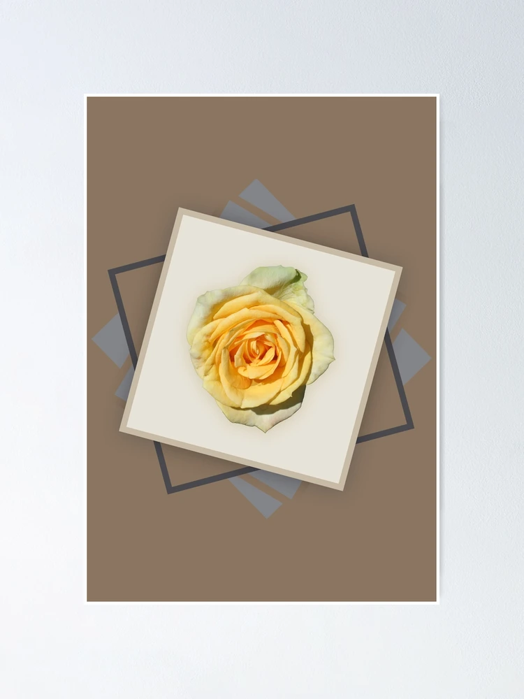 Thumbnail 1 of 3, Poster, Yellow Roses designed and sold by STHogan.