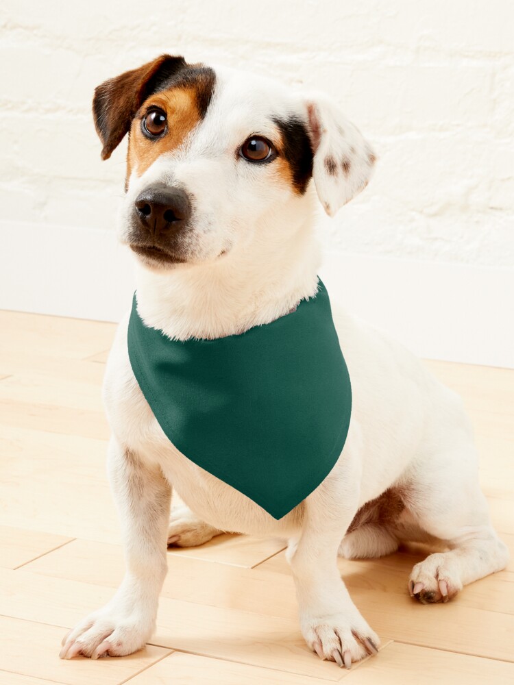 Green Bay Packers Running Dog Costume