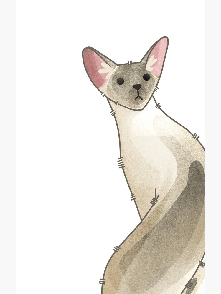 Thumbnail 4 of 4, Samsung Galaxy Phone Case, Siamese point cat designed and sold by FelineEmporium.
