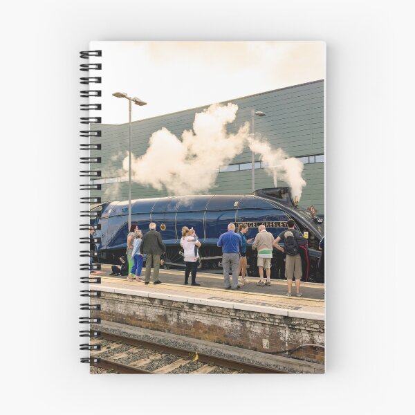 Item preview, Sir Nige at Exeter St Davids  designed and sold by hawkie.