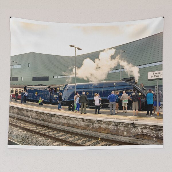 Item preview, Sir Nige at Exeter St Davids  designed and sold by hawkie.