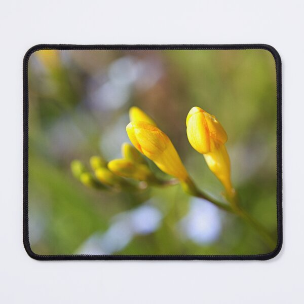 Item preview, Freesia Hand Of Spring Opening  designed and sold by Joy Watson - Natural Light Photography .