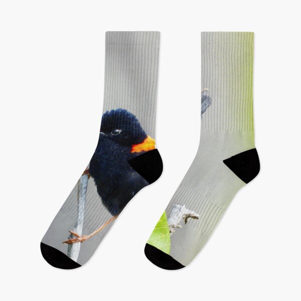Item preview, Red Backed Fairy Wren looking proud  designed and sold by Mark Grimsley.